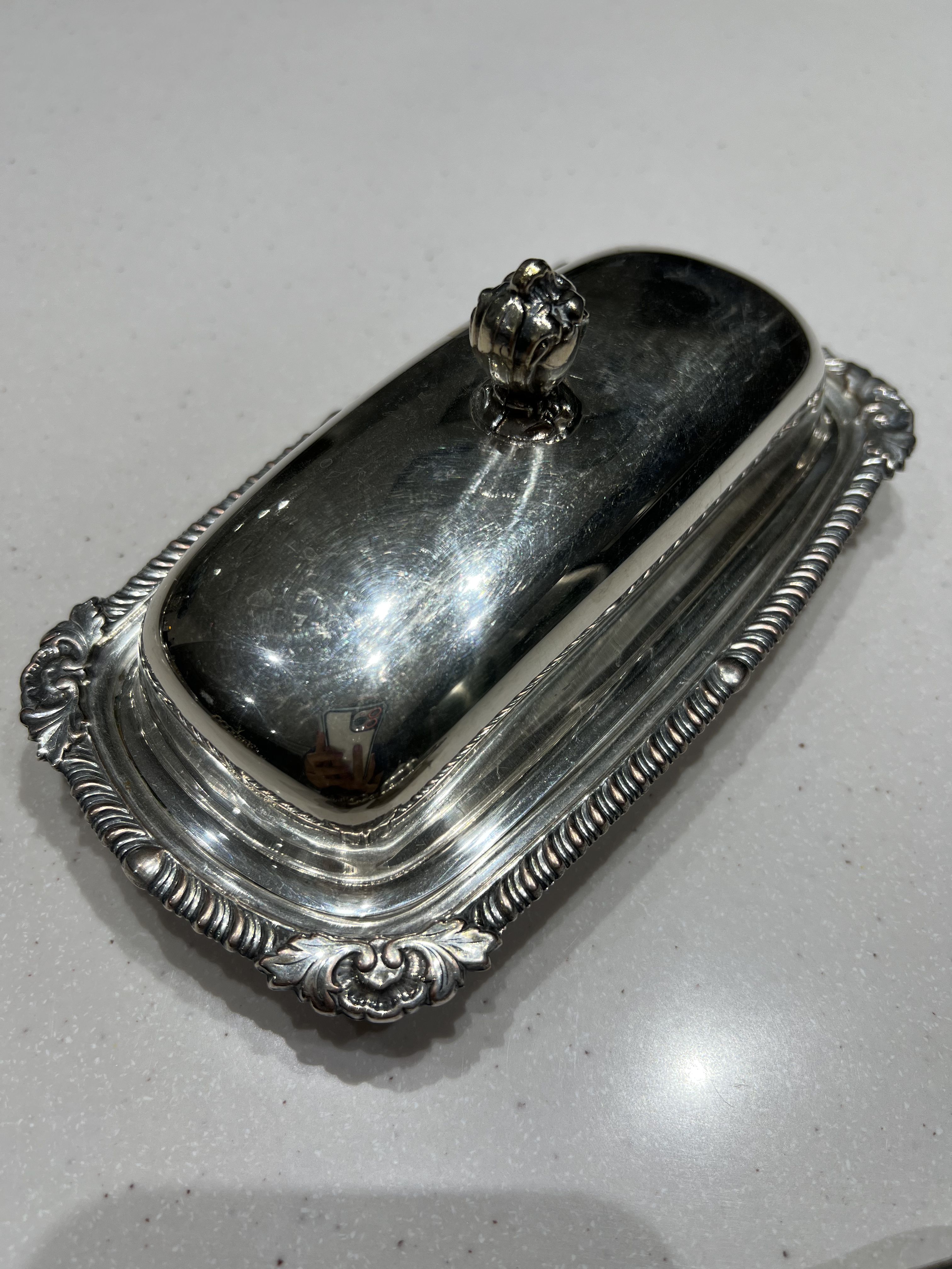 کره خوری سیلورپلیت